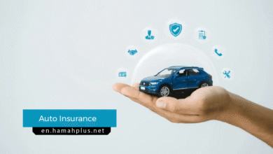 Auto Insurance