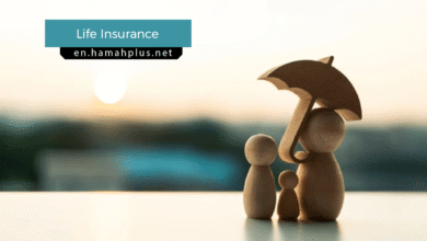 Life Insurance