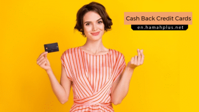 Best Cash Back Credit Cards
