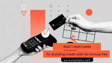 Best Credit Cards for Building Credit with No Annual Fee for Beginners