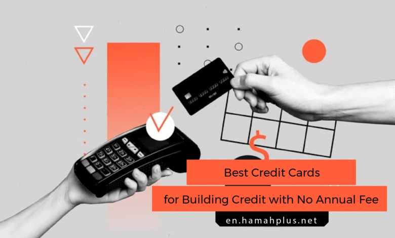 Best Credit Cards for Building Credit with No Annual Fee for Beginners